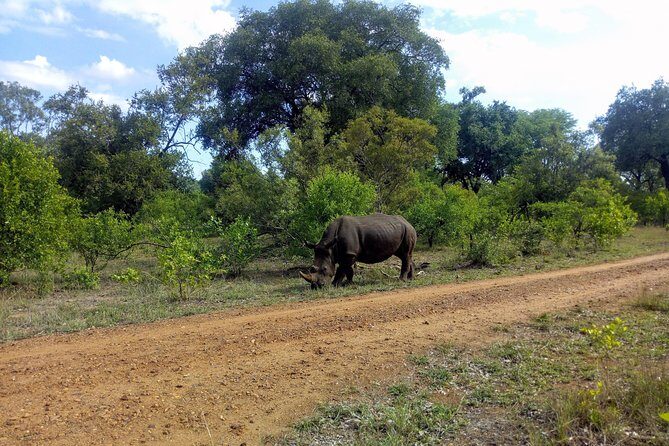 Rhino & Nature walk in the Musiotunya National Park - Who Should Consider This Tour?