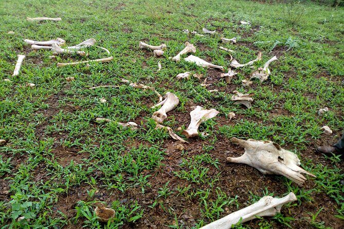 Rhino & Nature walk in the Musiotunya National Park - The Sum Up