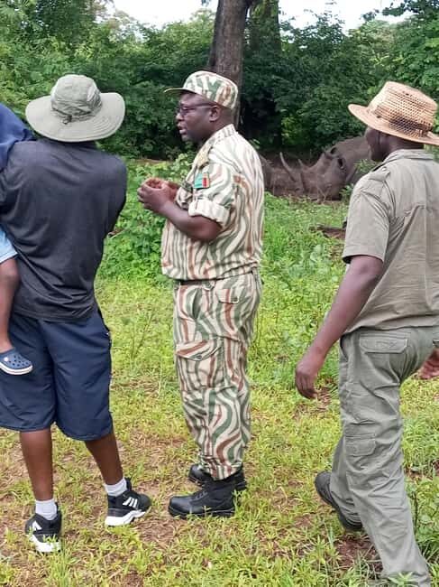 Rhino Safari game drive - Why This Tour Offers Great Value