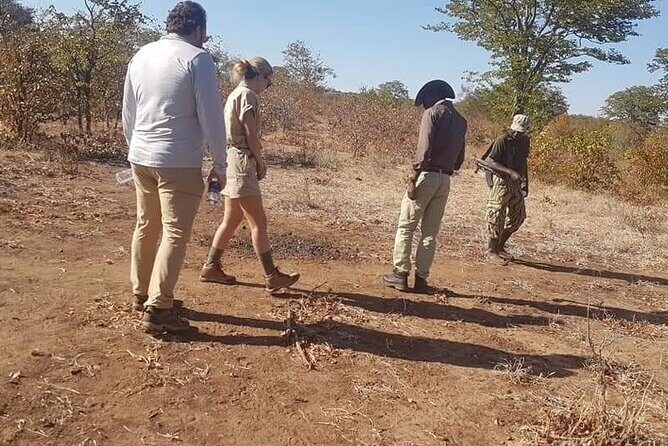 Rhino Walking Safari - The Sum Up