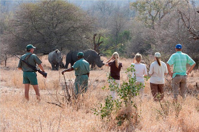 Rhino Walking Safari in the Musi Otunya National Park - Authentic Review Highlights