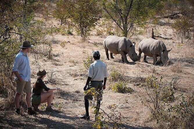 Rhino Walking Safari in the Musi Otunya National Park - The Sum Up