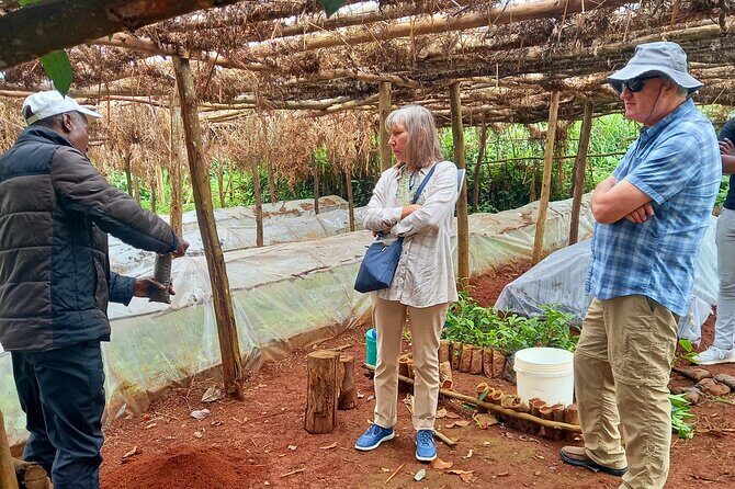 Riara tea farm tour with lunch and tea tasting from Nairobi - The Itinerary in Detail