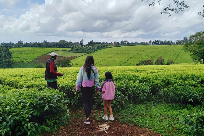 Riara tea farm tour with lunch and tea tasting from Nairobi - The Sum Up