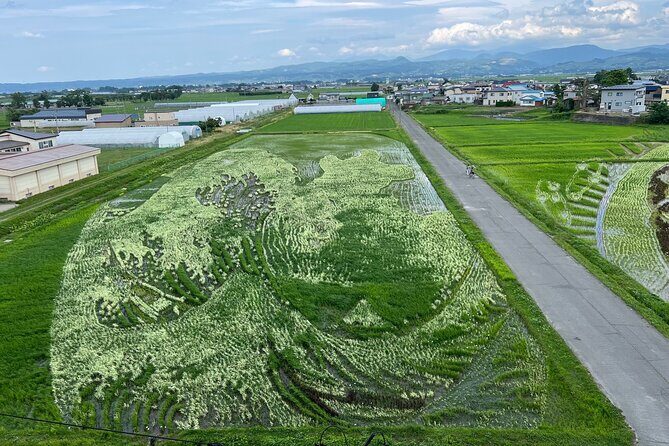 Rice Paddy Art Half day tour in Aomori - An In-Depth Look at the Rice Paddy Art Half Day Tour
