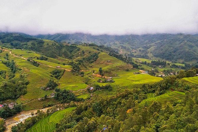 Rice Terraced Fields & Homestay Experience 2D 1N - An In-Depth Look at the Sapa Rice Terraces & Homestay Tour