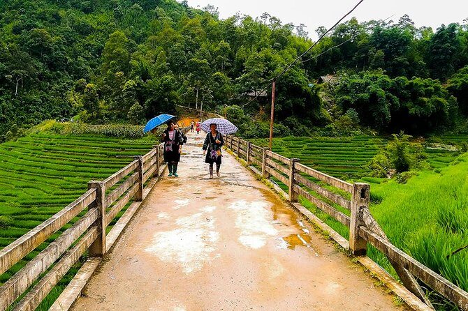 Rice Terraced Fields & Homestay Experience 2D 1N - Real Traveler Feedback: Authentic Perspectives