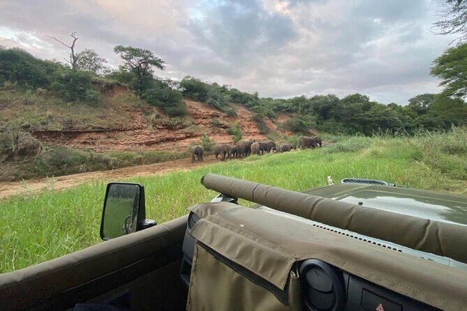 Richards Bay: Big 5 Luxury Safari at Manyoni Private Game Reserve - Why This Safari Works for Travelers