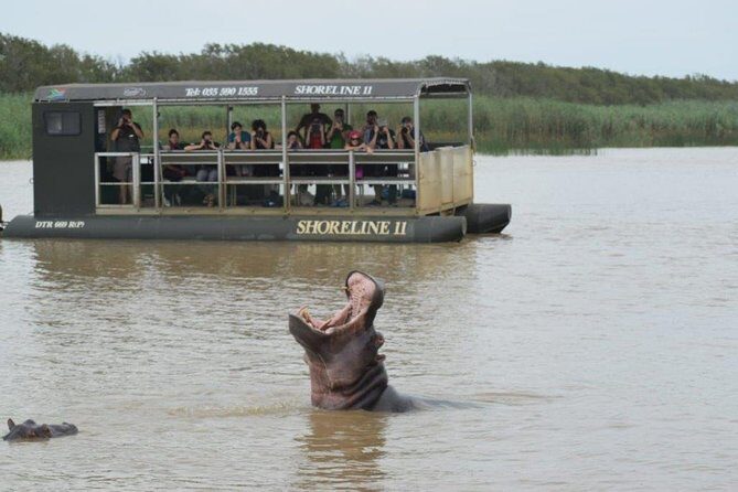 Richards Bay Shore Excursion: Small Group Hluhluwe & St Lucia - An Introduction to the Experience