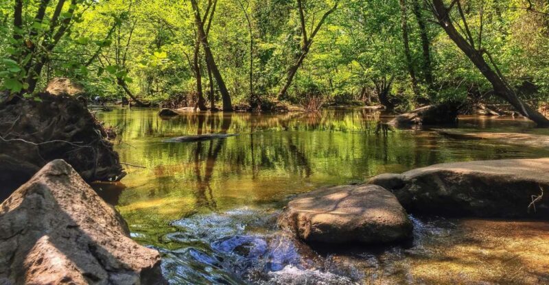 Richmond: Guided Hike in James River Park - The Experience Provider