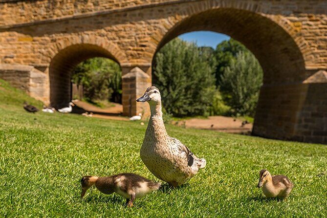 Richmond Historic Afternoon Tour from Hobart - Who Will Love This Tour?