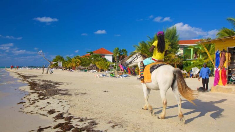 Ricks cafe & 7mile Beach Private Tour from Montego Bay. - Exploring the Ricks Cafe & 7 Mile Beach Private Tour from Montego Bay