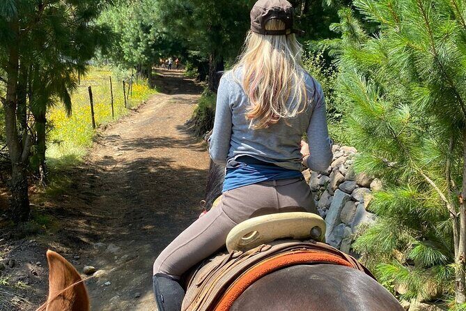Ride Ajusco mountain trails & enjoy a ranch barbecue - An introduction to the experience