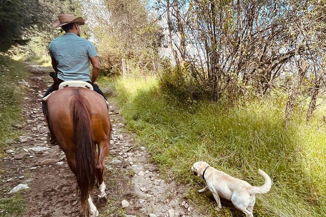 Ride Ajusco mountain trails & enjoy a ranch barbecue - Frequently Asked Questions