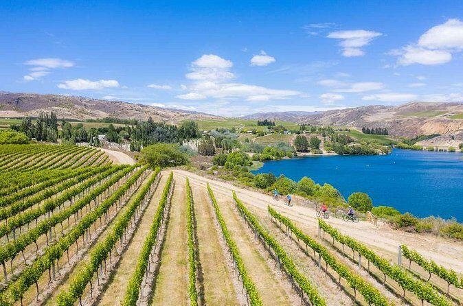 Ride and Wine Central Otago E bike Adventure - Value and Practicality