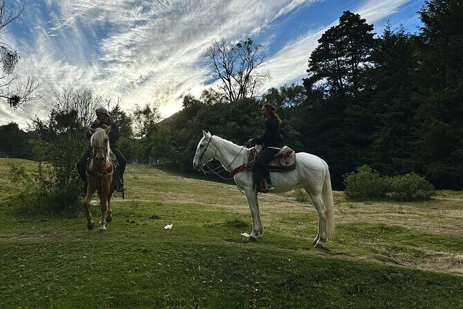 Ride Horses, Learn to Cook with Locals in Mexico City - The Slight Caveats