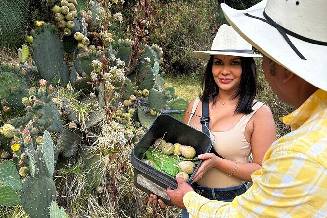 Ride Horses, Learn to Cook with Locals in Mexico City - FAQs