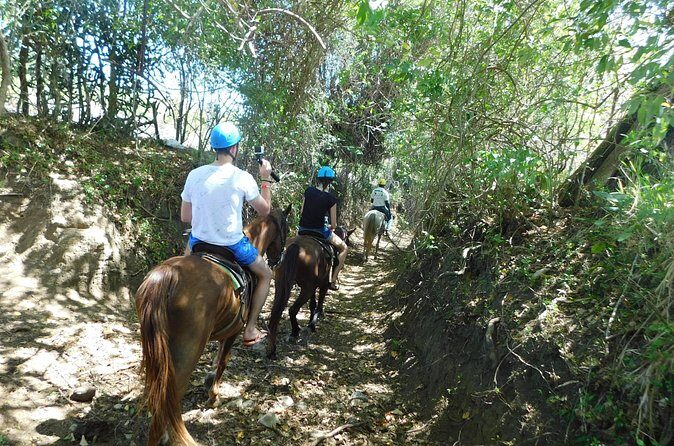 Ride N Zip Adventure - Who Is This Tour Best Suited For?