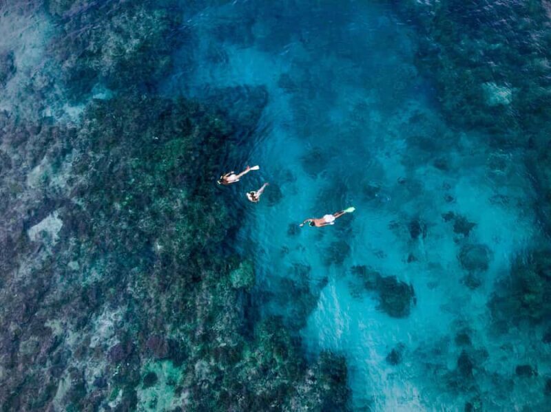 Ride & Slide by South Sea Cats - Half Day Snorkelling Trip - Key Points