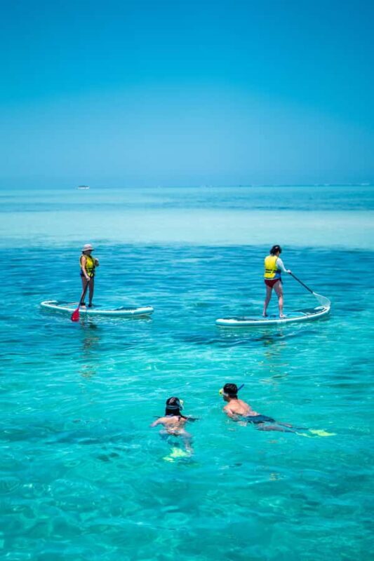 Ride & Slide by South Sea Cats - Half Day Snorkelling Trip - Who Should Consider This Tour?