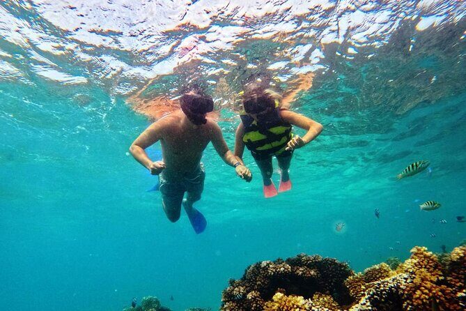 Ride & Slide by South Sea Cats - Half Day Snorkelling Trip - Who Will Love This Tour?