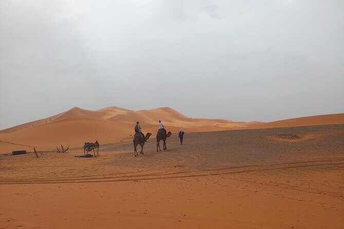 Ride the Camels for Sunset in Merzouga Dunes - Setting the Scene: What to Expect