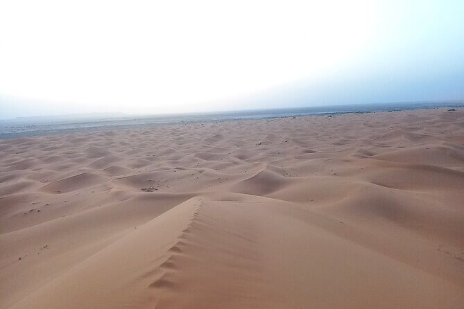 Ride the Camels for Sunset in Merzouga Dunes - Authentic Experiences and Honest Feedback