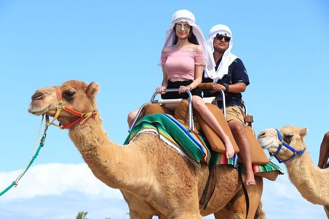 Ride the Wild Camel Safari and Off Road Rush - Who Should Consider This Tour?
