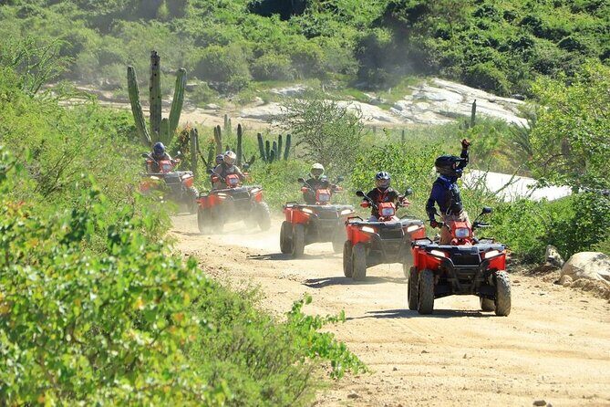 Ride the Wild Camel Safari and Off Road Rush - Final Thoughts