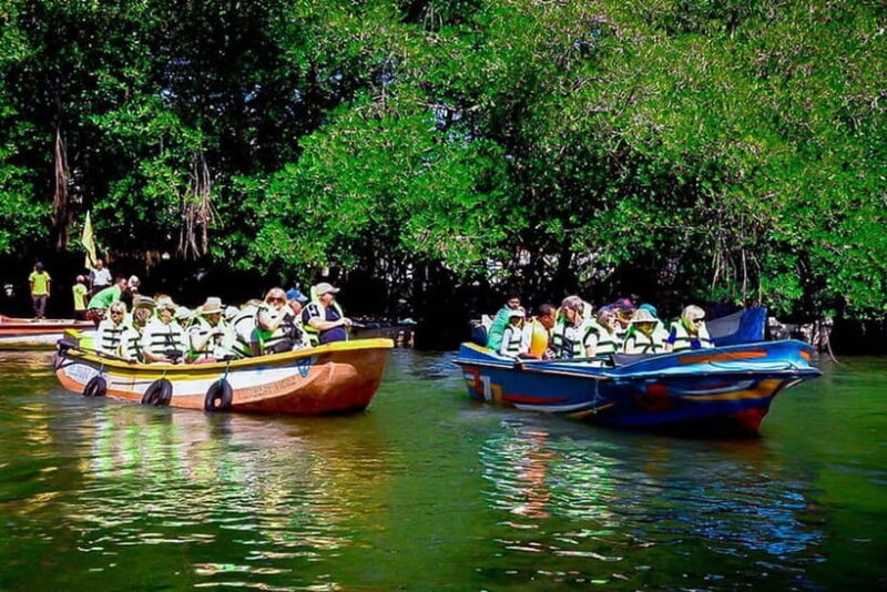 "Ride Through Paradise: Aluthgama & Bentota Tuk Tuk Tour" - An In-Depth Look at the Tour