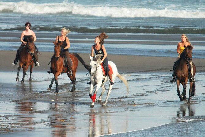 Riding a Horse to Enjoy the Extremely Black Sand Beach - A Deep Dive into the Experience