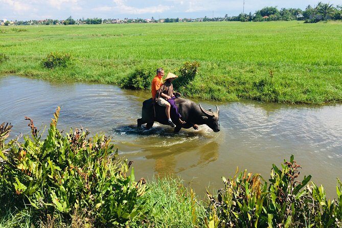 Riding Water Buffalo Hoi An Private Bike Tour - Final Thoughts: Is This Tour Right for You?