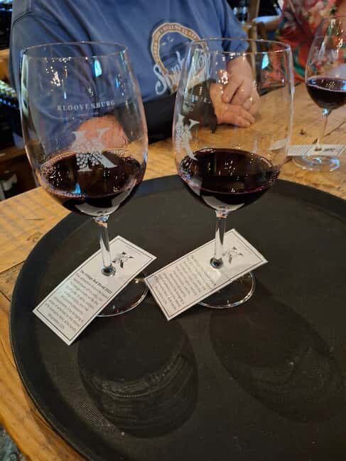 Riebeek-Kasteel:, Winetasting, Olive , and Port Tasting Tour - A Taste of Riebeek-Kasteel: What to Expect on the Tour