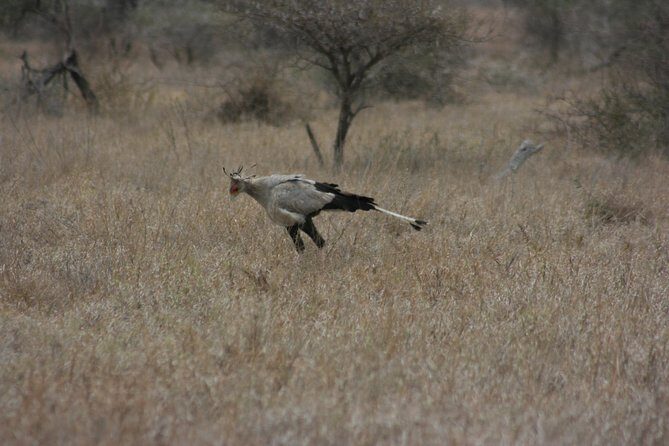 Rietvlei Nature Reserve half-day tour from Pretoria, every TUESDAY - Final Thoughts