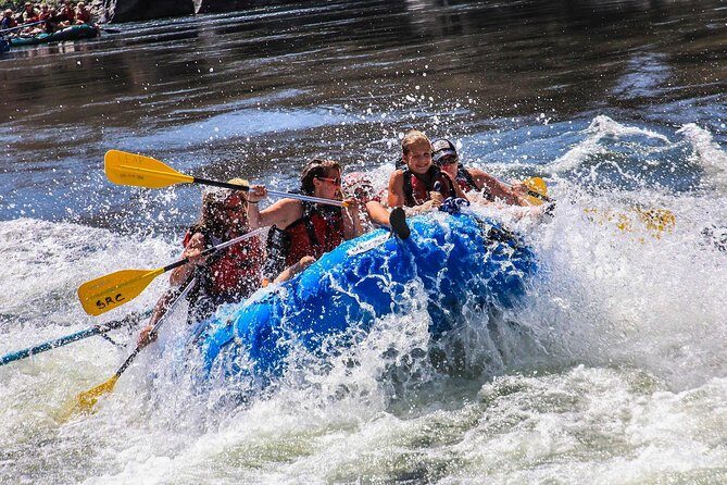 Riggins Idaho half-day rafting trip on the Salmon River - The Experience from Review Highlights