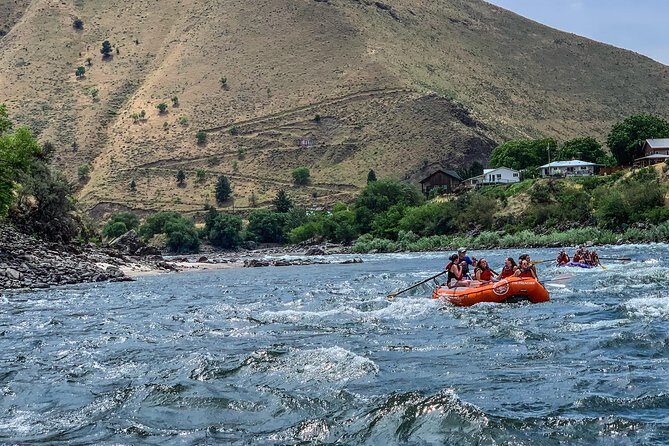 Riggins Idaho half-day rafting trip on the Salmon River - The Sum Up