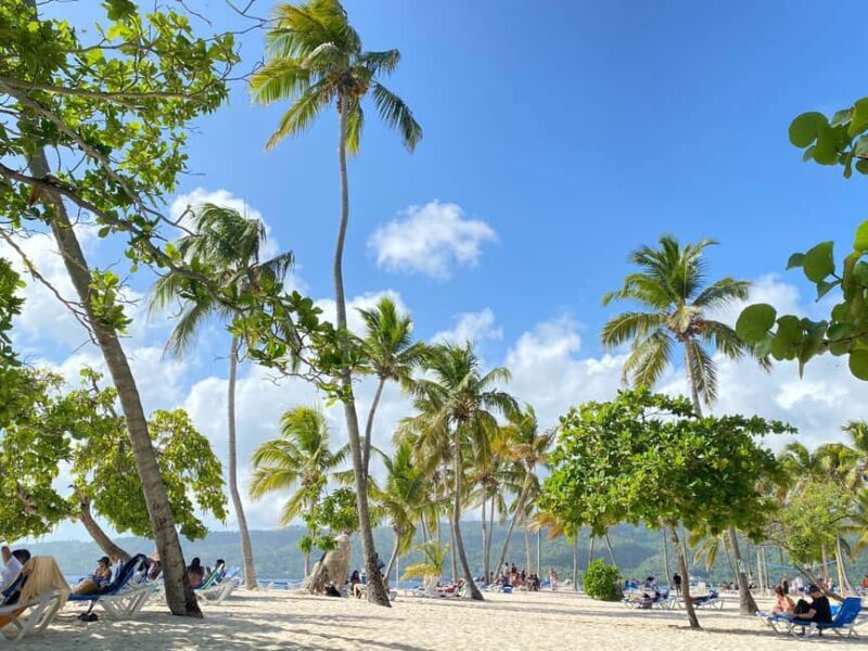 Rincon Beach and Cayo Levantado from Punta Cana - What Is the Value?