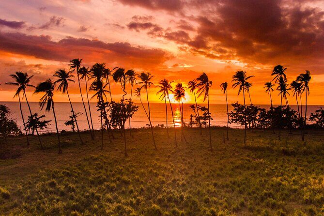 Rincon Tour Sunset & Nightlife Experience - Key Points