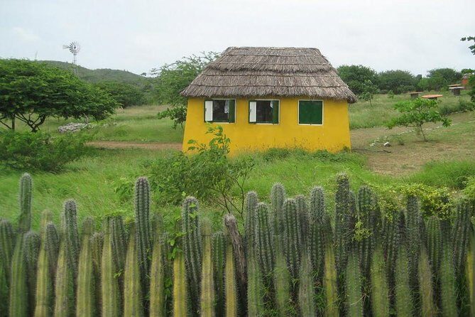 Rincon Visit with Local Guide - An In-Depth Look at the Rincon Tour Experience