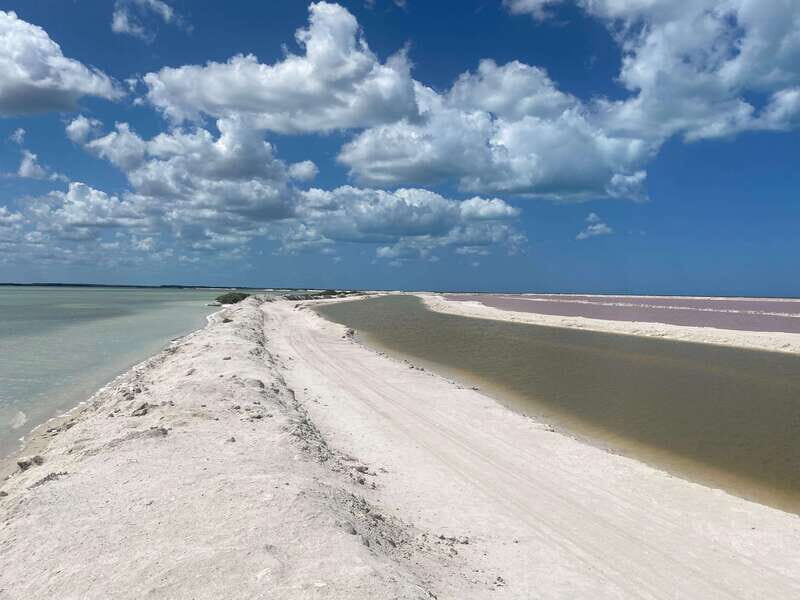 Rio Lagartos and Las Coloradas: EcoSafari Flamingo classic - Exploring Rio Lagartos and Las Coloradas in Depth