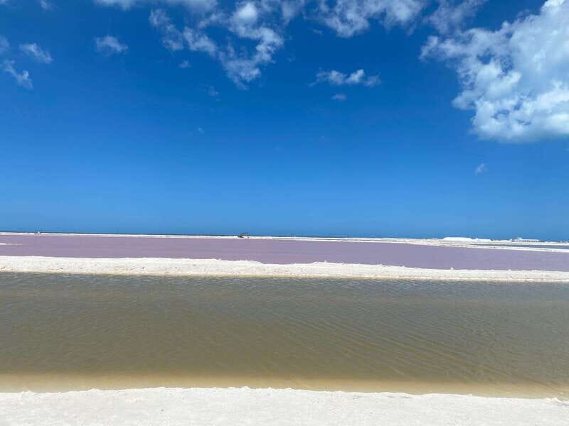 Rio Lagartos and Las Coloradas: EcoSafari Flamingo classic - What To Expect and Practicalities