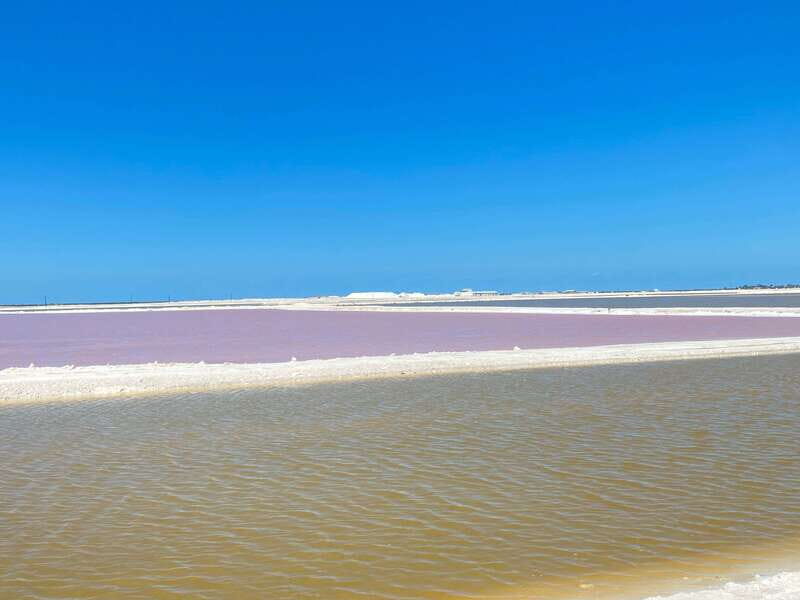 Rio Lagartos and Las Coloradas: EcoSafari Flamingo classic - Final Word