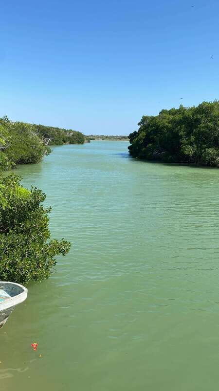 Rio Lagartos and Las Coloradas: EcoSafari Flamingo Luxury - Key Points