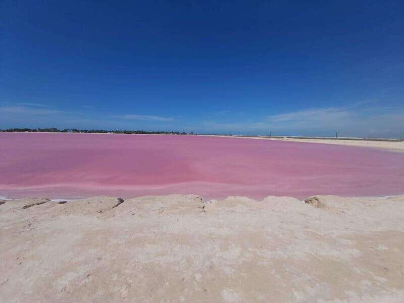 Rio Lagartos and Las Coloradas: EcoSafari Flamingo Luxury - The Itinerary in Detail: What You’ll Actually Do