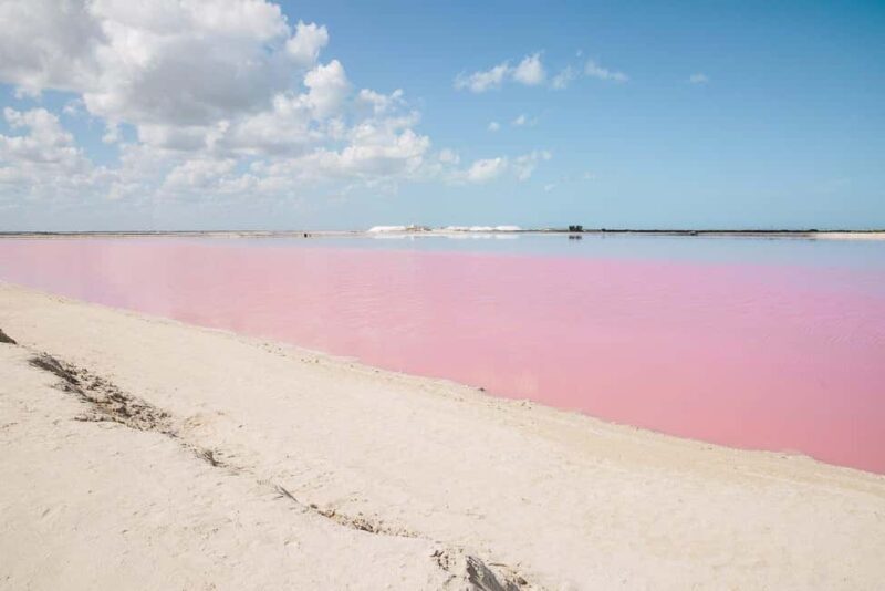 Río Lagartos and Las Coloradas: Natural Experience - An Honest Look at the Experience
