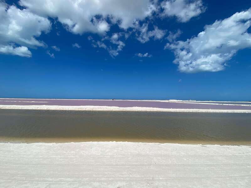 Río Lagartos and Las Coloradas: Natural Experience - Itinerary Breakdown