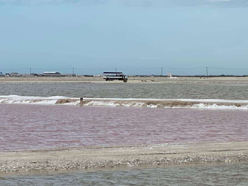 Río Lagartos and Las Coloradas: Natural Experience - Final Thoughts: Who Should Take This Tour?