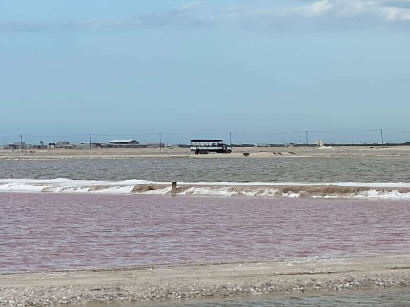 Río Lagartos and Las Coloradas: Natural Experience - Final Word