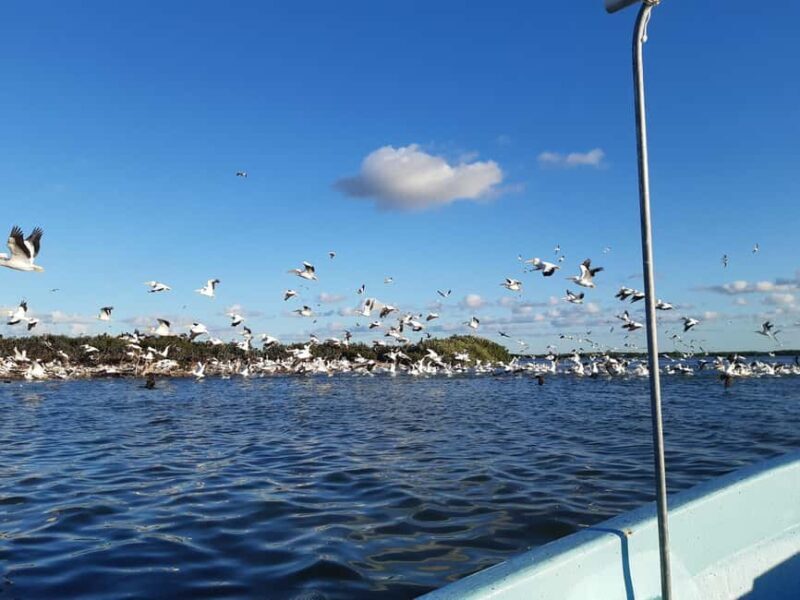Rio Lagartos and San Felipe: Cerritos Island, adventure tour and Mayan culture. - An Authentic Window into Yucatán’s Natural and Cultural Heritage