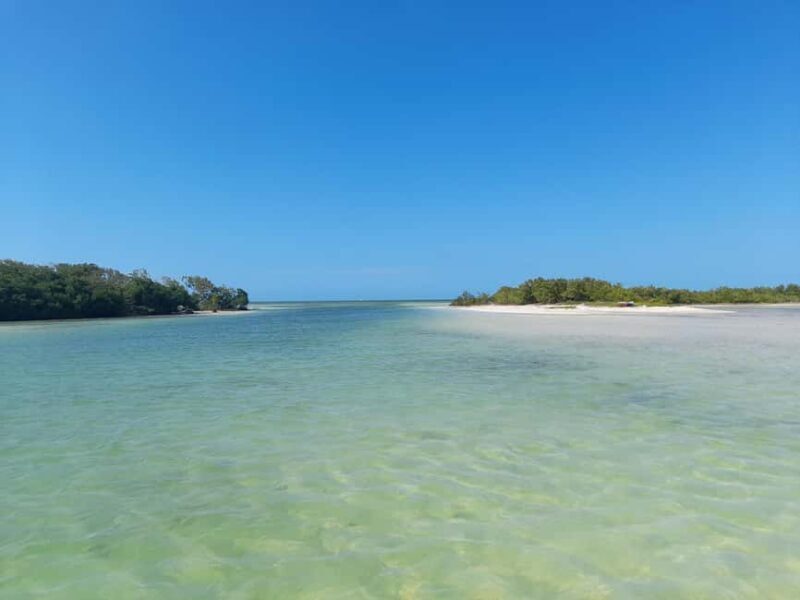 Rio Lagartos and San Felipe: Cerritos Island, adventure tour and Mayan culture. - The Practicalities of the Tour